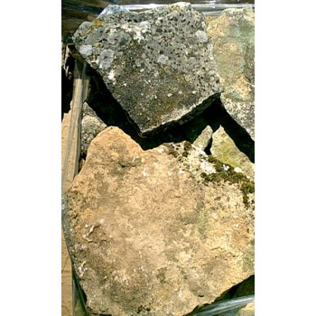 PALE PIEDRA RUSTICA MONTE